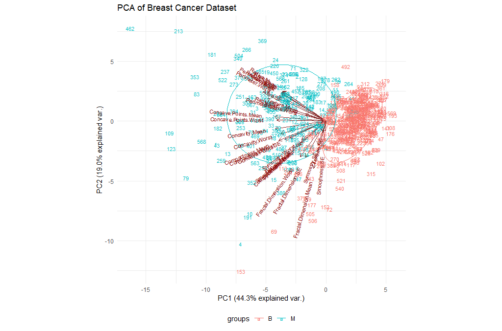 Visualization of the first two PCs on the UCI Breast Cancer dataset