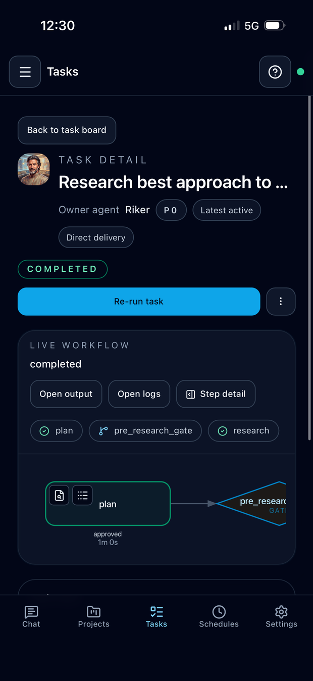 Cognis iOS PWA task workflow detail