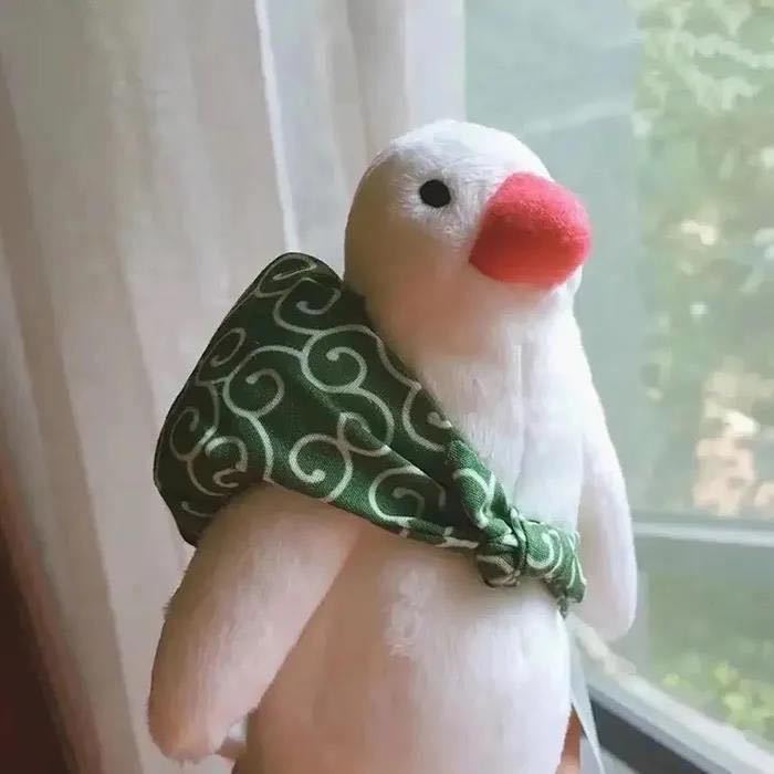 桥南