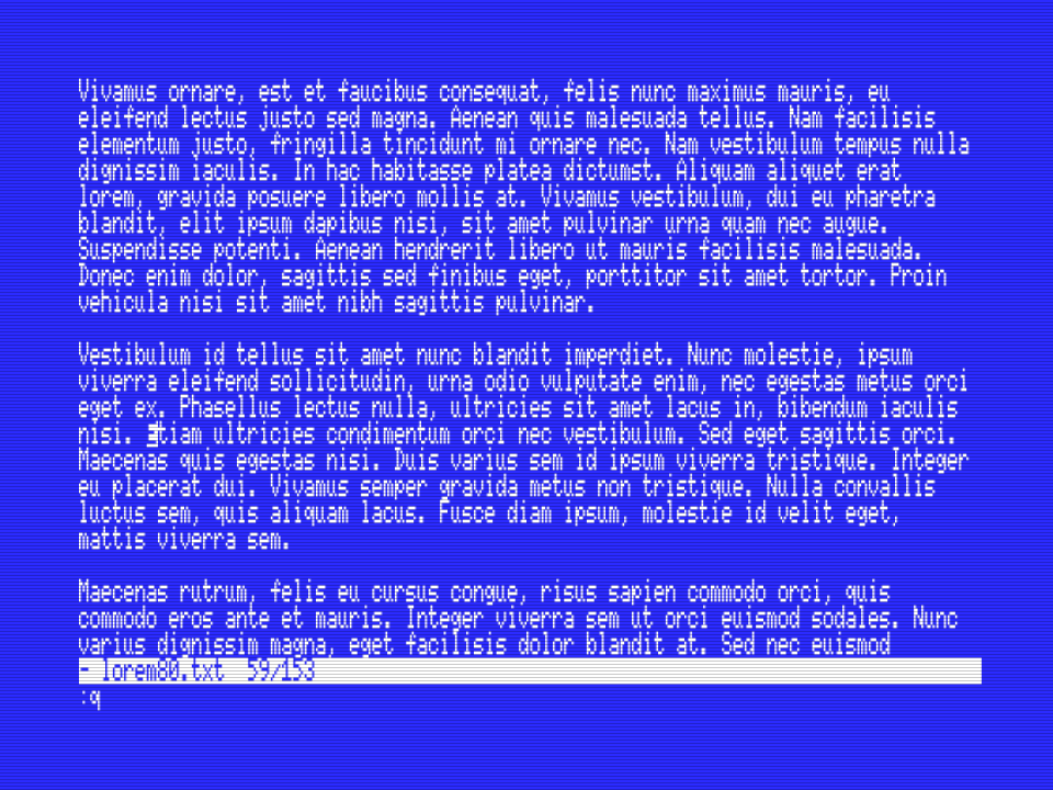 MSX-vi editing large file