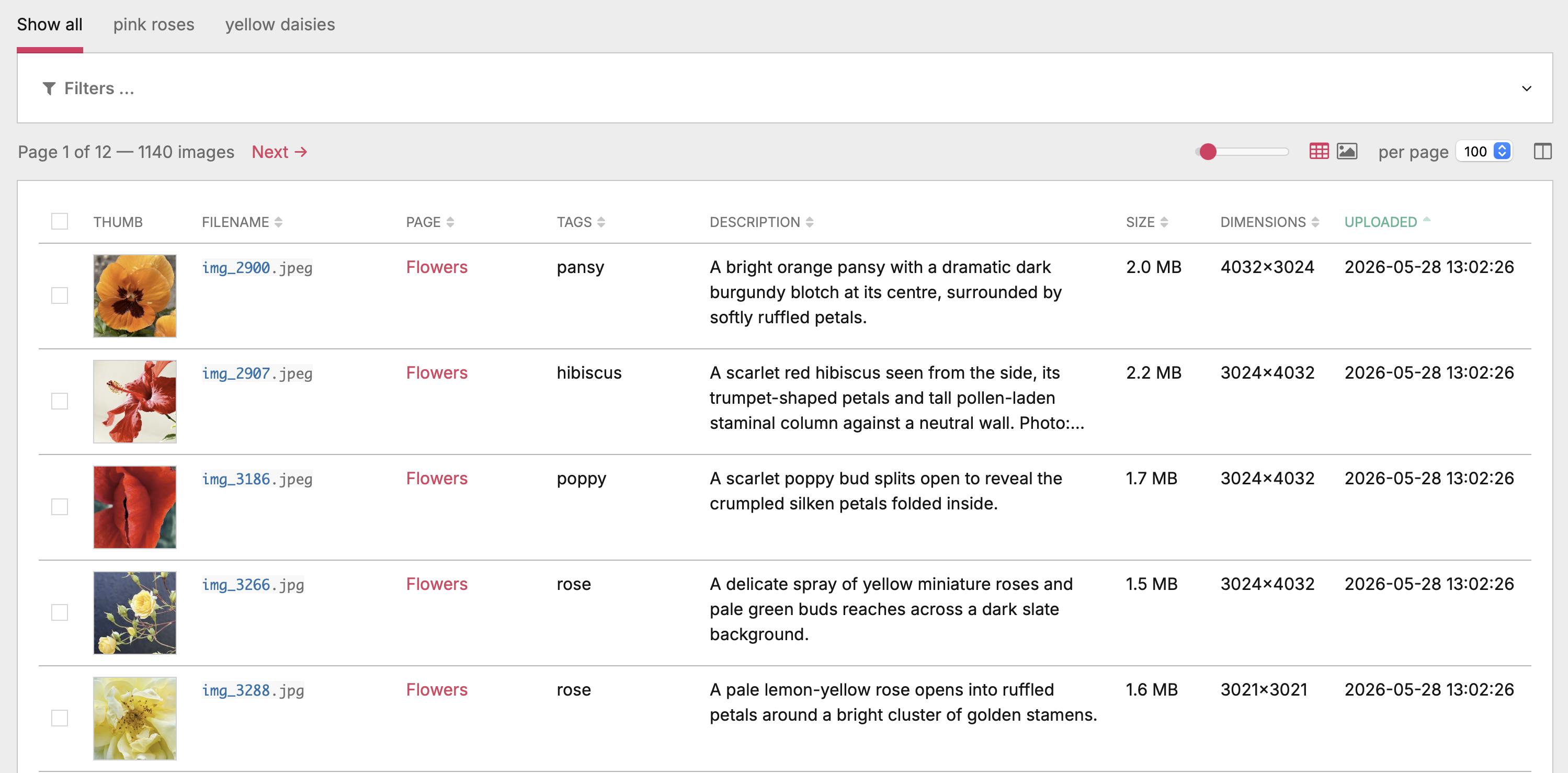 Overview screenshot of the Image Library admin page showing bookmark tabs and the collapsed filter bar at the top, a table of images with thumbnails / filename / page / tags / description / size / dimensions / uploaded columns, and a toolbar with the thumbnail-size slider plus the table / gallery view toggle