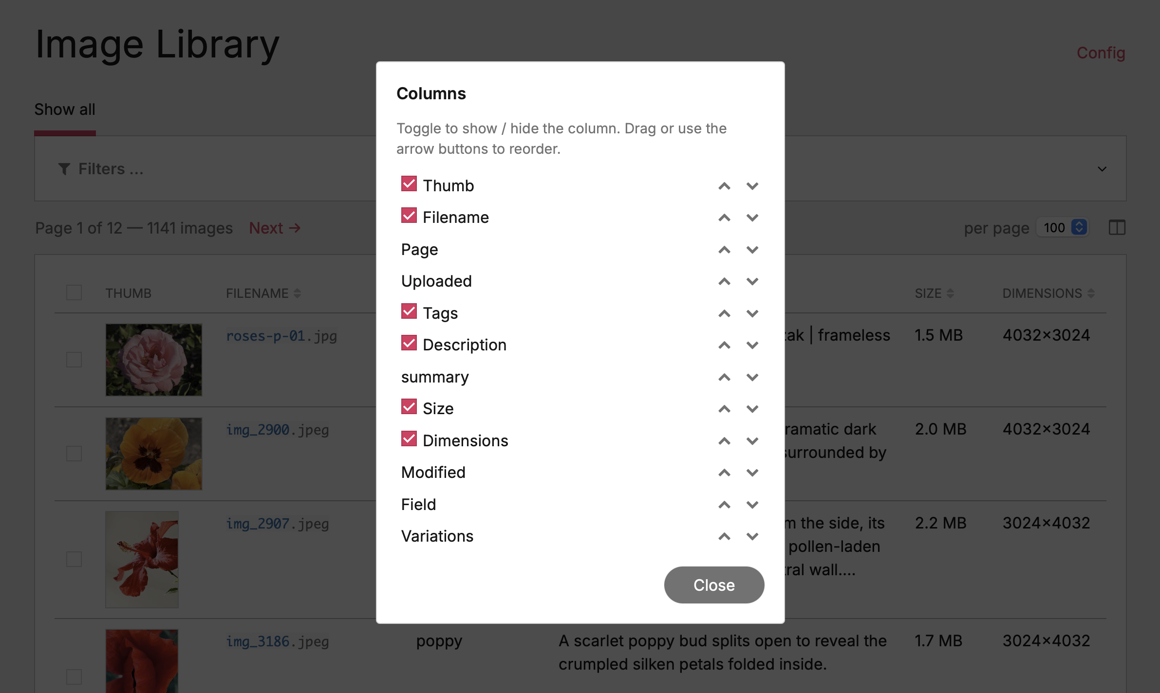 Columns dialog showing the toggleable list with up/down reorder buttons and the drag hint