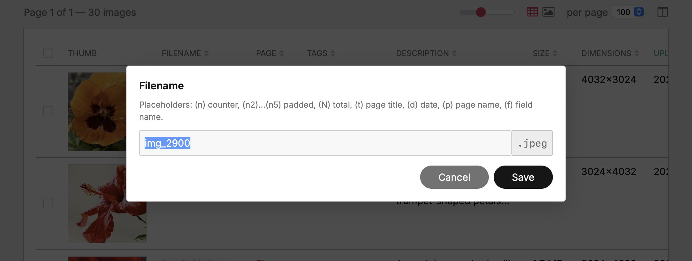Filename rename popup showing the stem input, locked .jpeg chip, and the placeholder syntax hint below the title