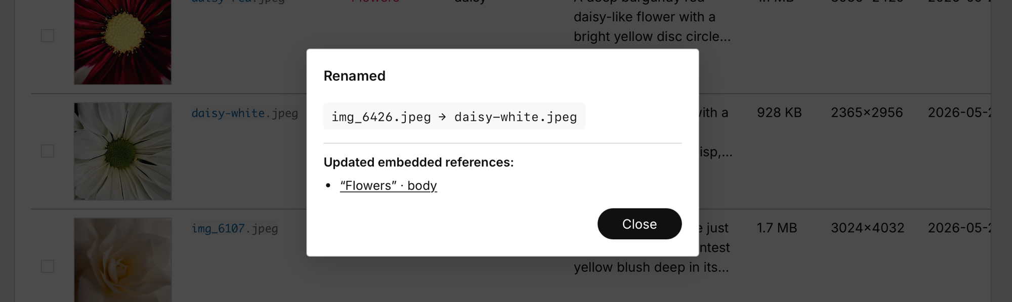 Post-rename summary dialog titled "Renamed": a monospace chip reads "img_6426.jpeg → daisy-white.jpeg", and below an "Updated embedded references" list links "Flowers" · body, with a single Close button