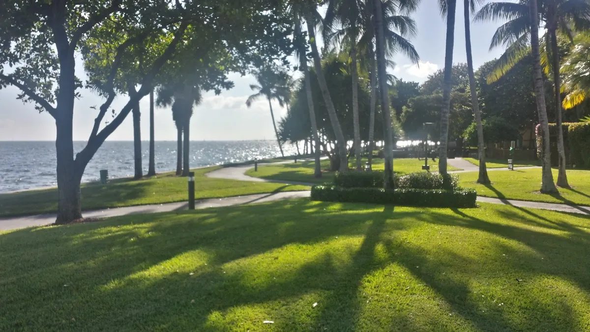 Vista panoramica di Grove Isle e Biscayne Bay dal quartiere di Coconut Grove Miami - proprietà fronte mare