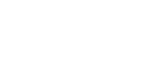 DataDetective Logo