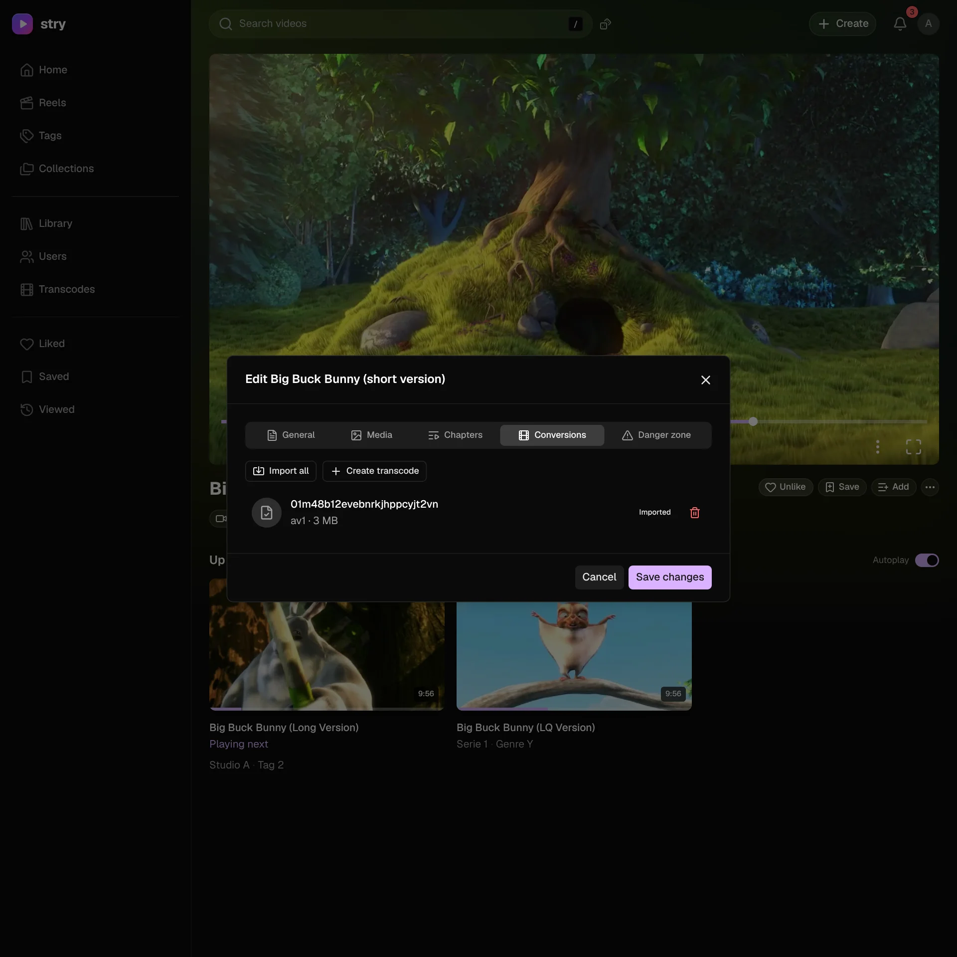 Edit video window, Conversions tab