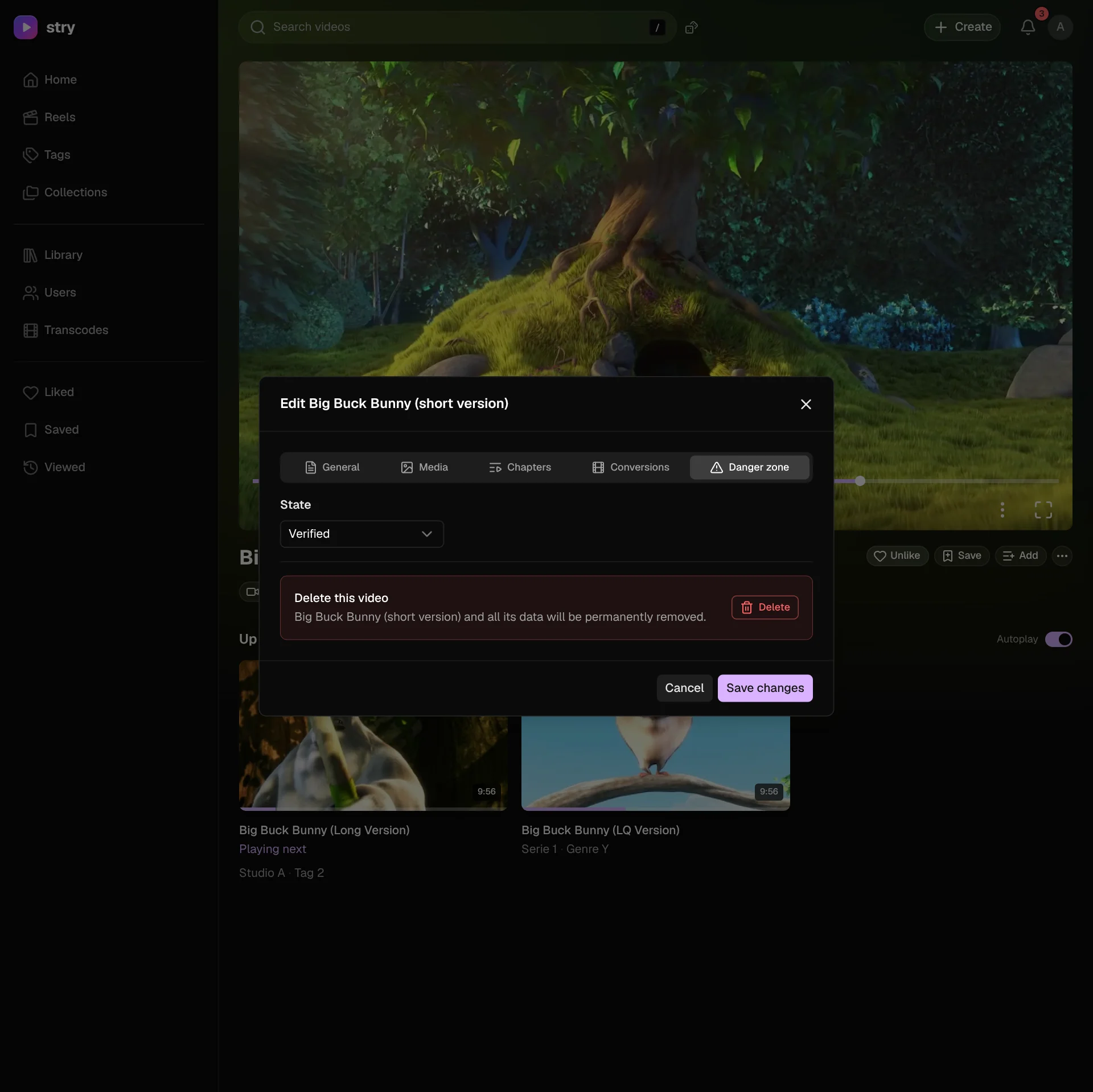 Edit video window, Danger zone tab