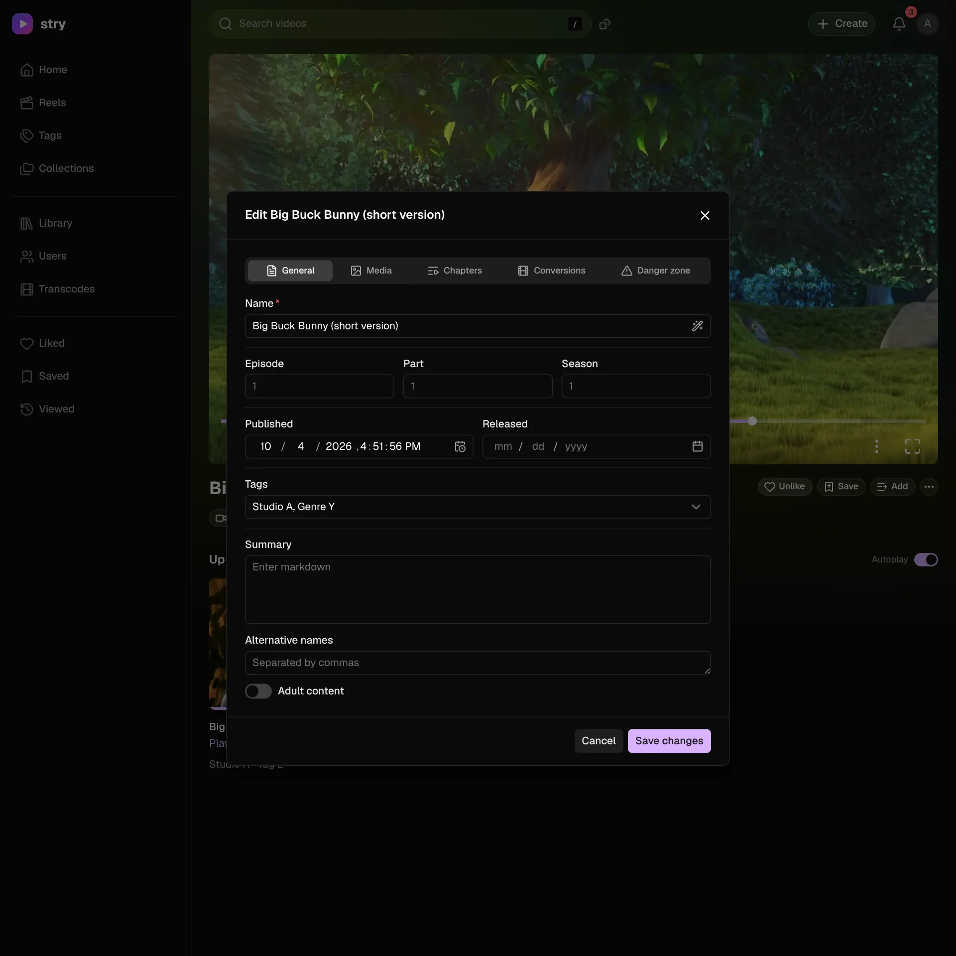 Edit video window, General tab, with name, episode, part, season, dates, tags and summary