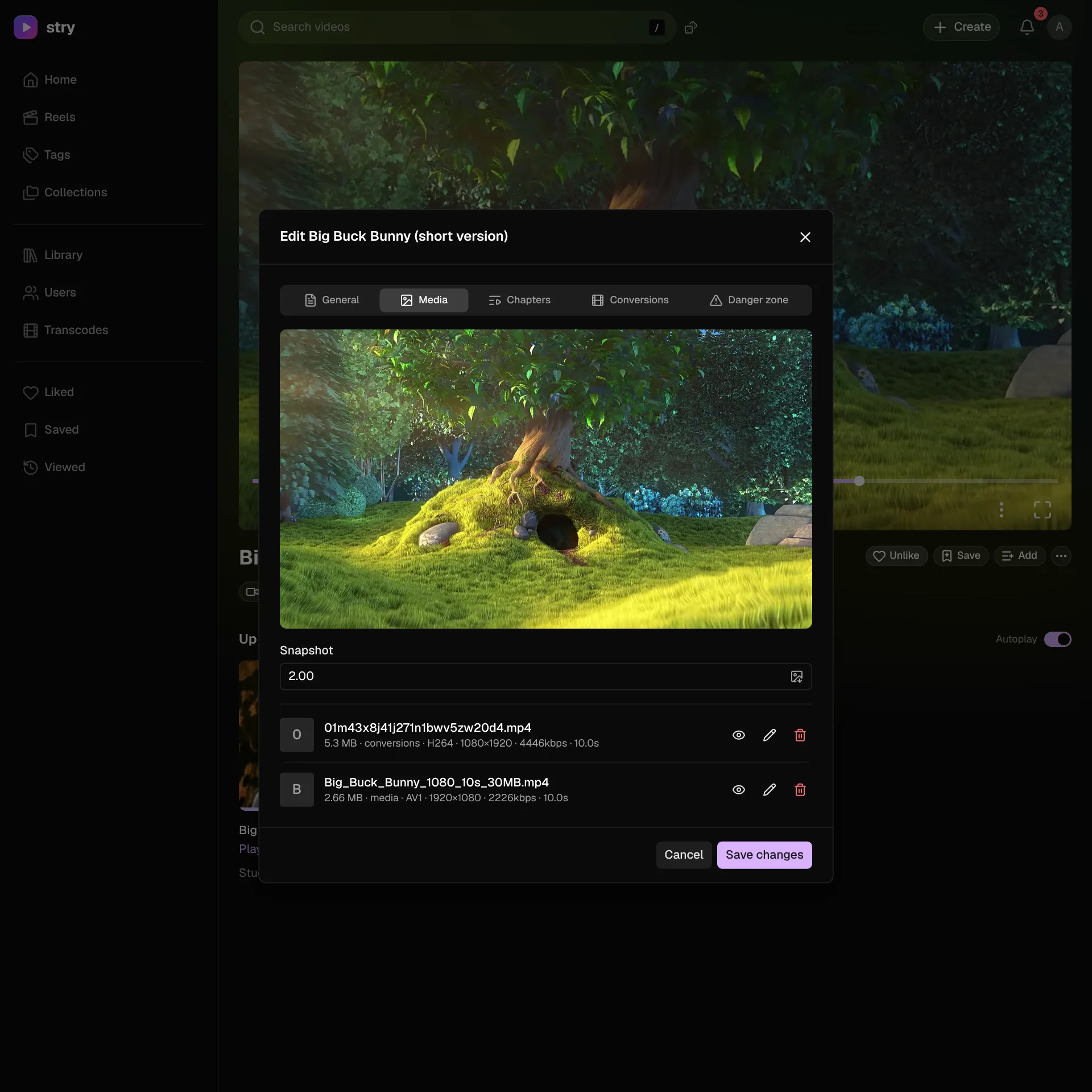 Edit video window, Media tab