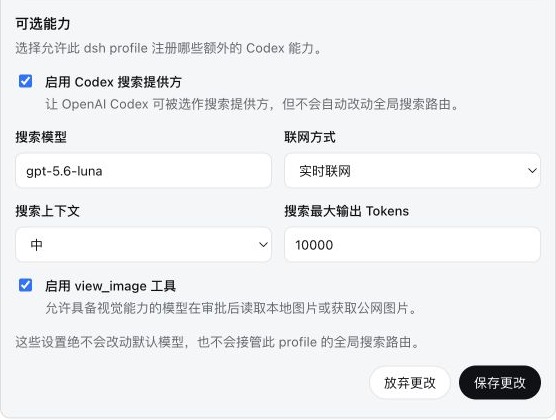 中文 Codex Connect 显式开启可选能力后的配置示例