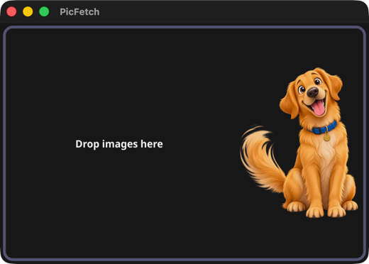 PicFetch's main window showing the 'Drop images here' prompt before any images are loaded