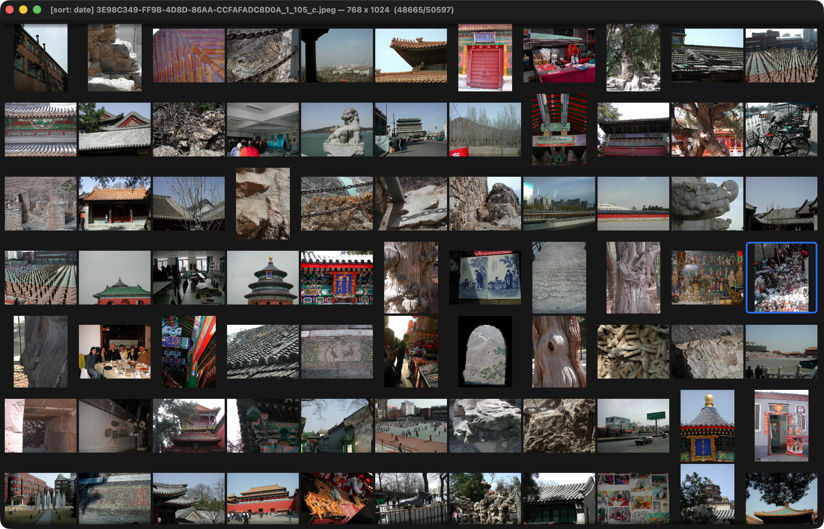 Thumbnail grid view showing dozens of photos at once, with the current image highlighted