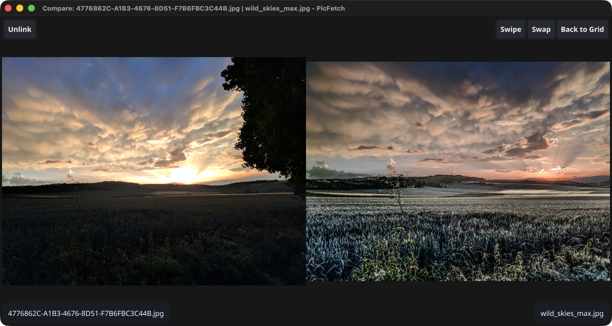 Two photos displayed side by side in PicFetch for comparing details