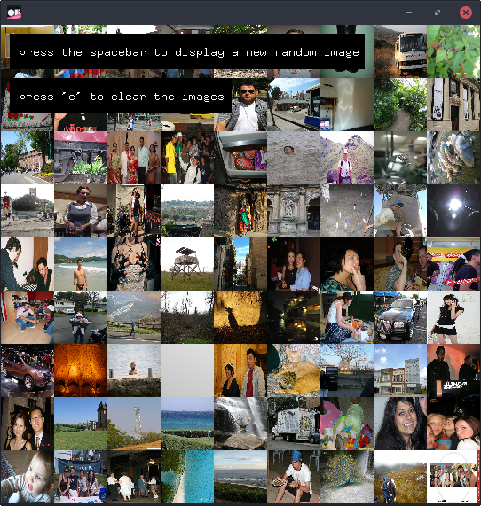 Screenshot of ofxRandomImage example app
