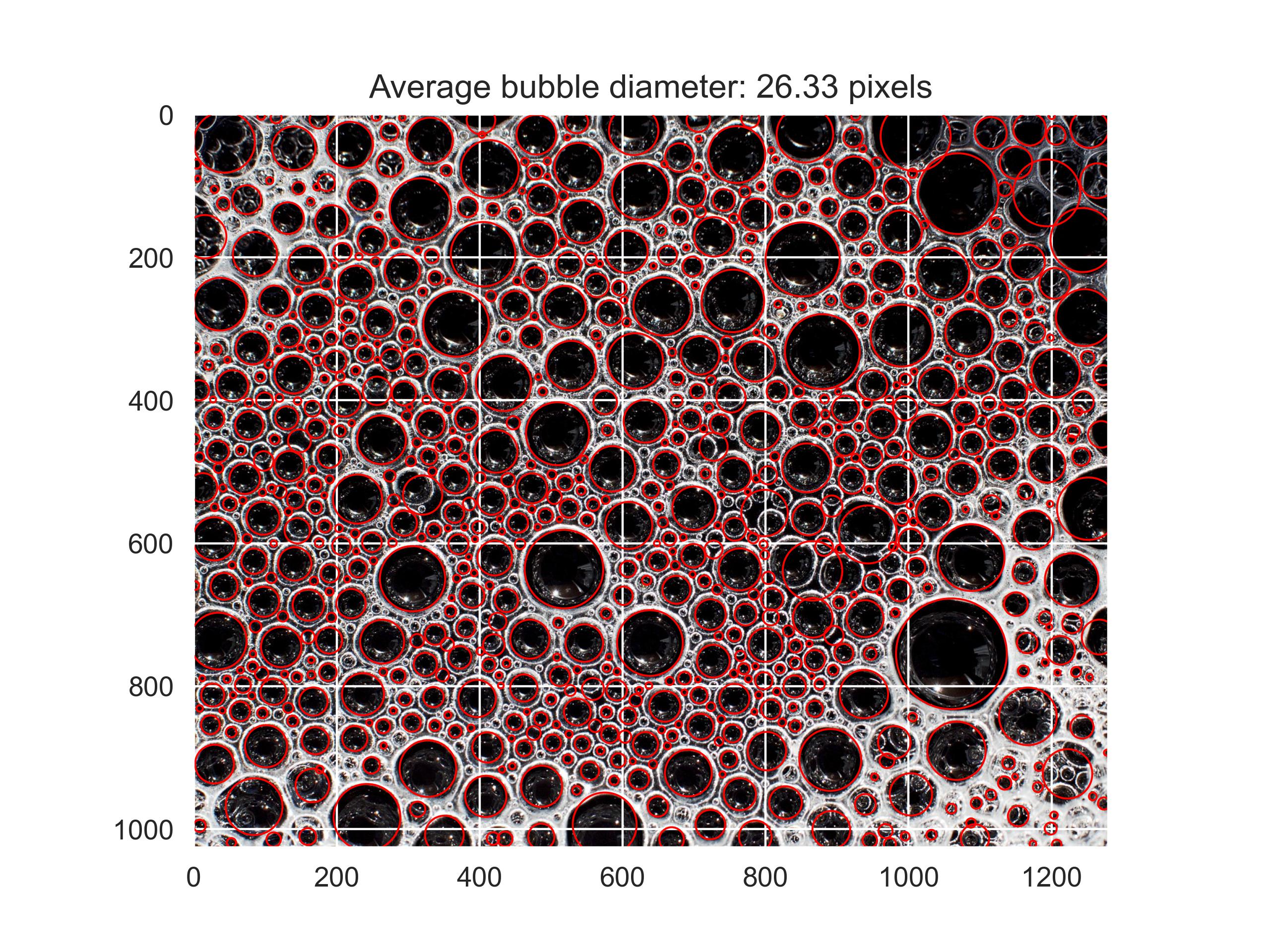 Segmented Foam Image