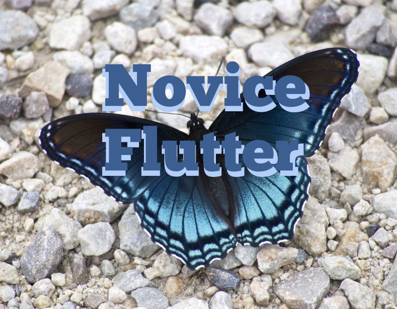 novice flutter
