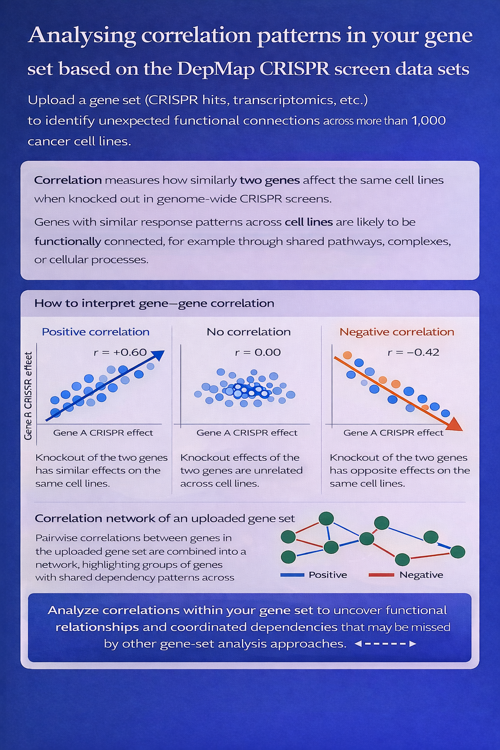 Gene Correlation Explorer Infographic