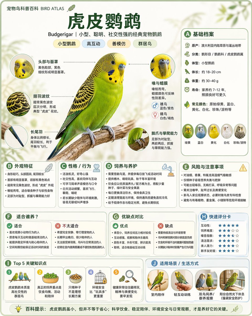 关系图谱信息图 · oss-77
