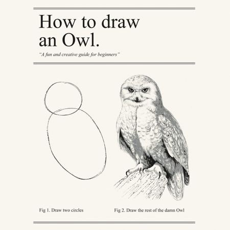 A detailed instruction on how to draw an owl