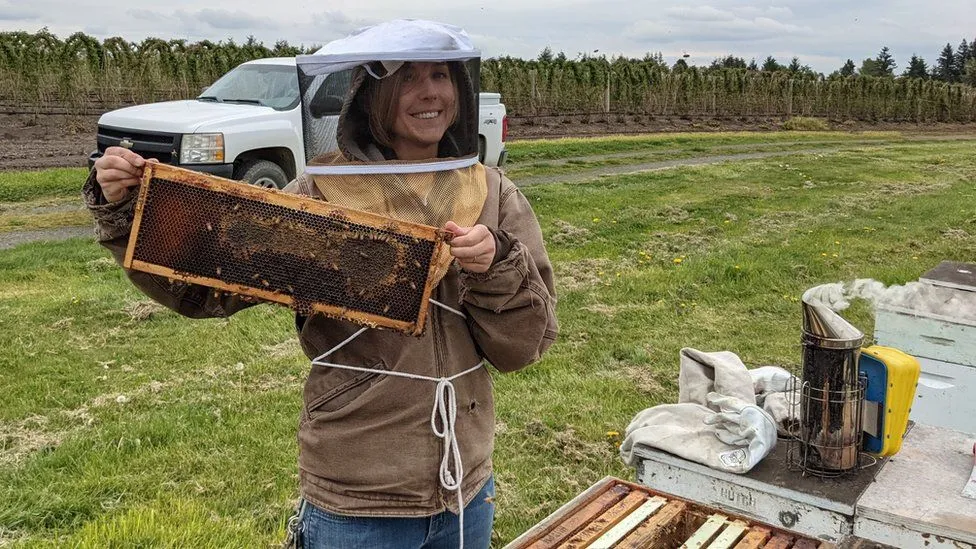 Lisa Wasko DeVetter checking a hive of bees