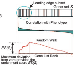 GSEA02