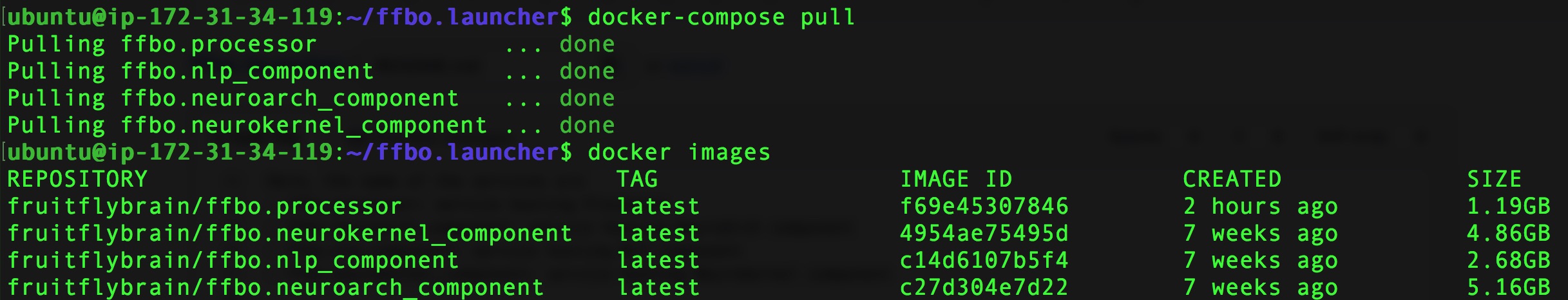 result of docker-compose pull