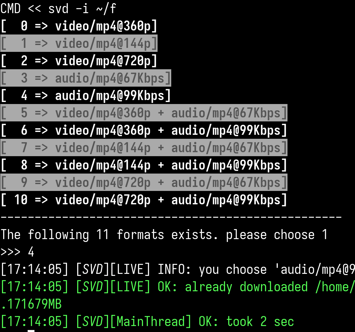 Simple Video Downloader terminal interface