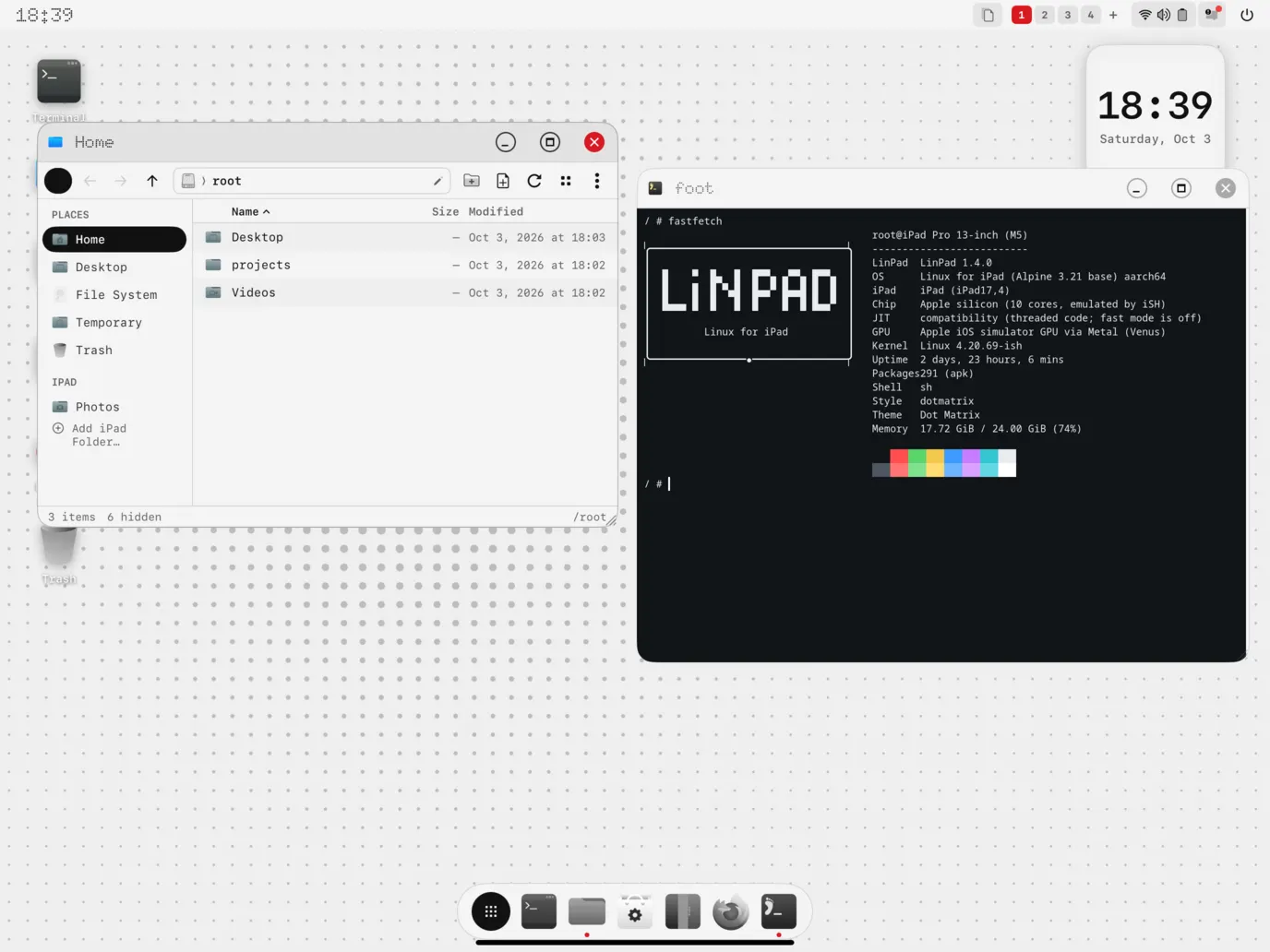 LinPad OS Dot Matrix desktop with the file manager and foot terminal