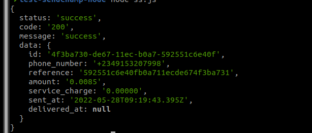 sendchamp-sdk response