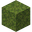 moss_block