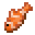 tropical_fish