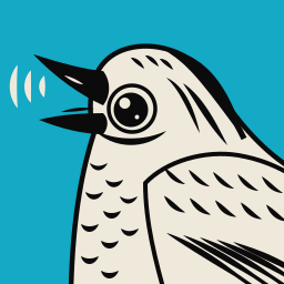 SoundCraft Use — audio editing with verified artifacts
