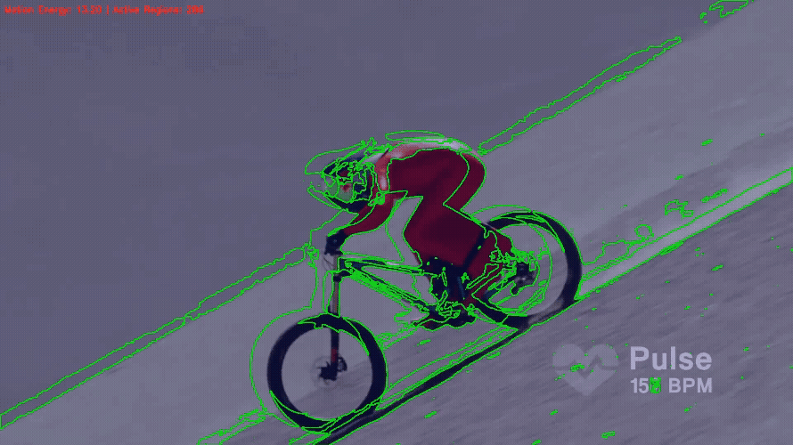 Motion Energy Visualization
