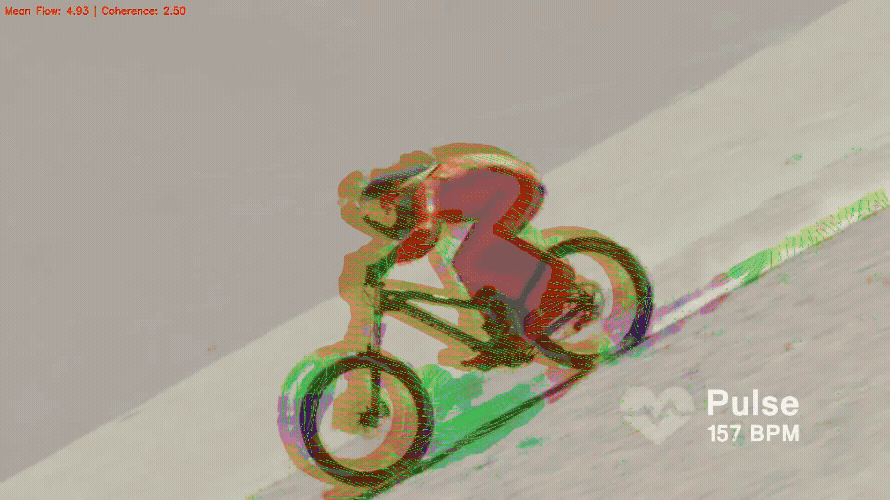 Optical Flow Visualization