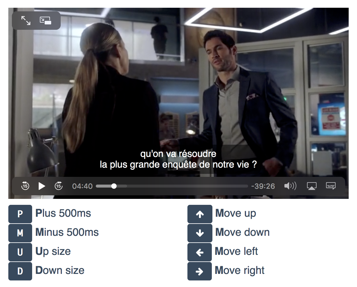 Demo application Alt text