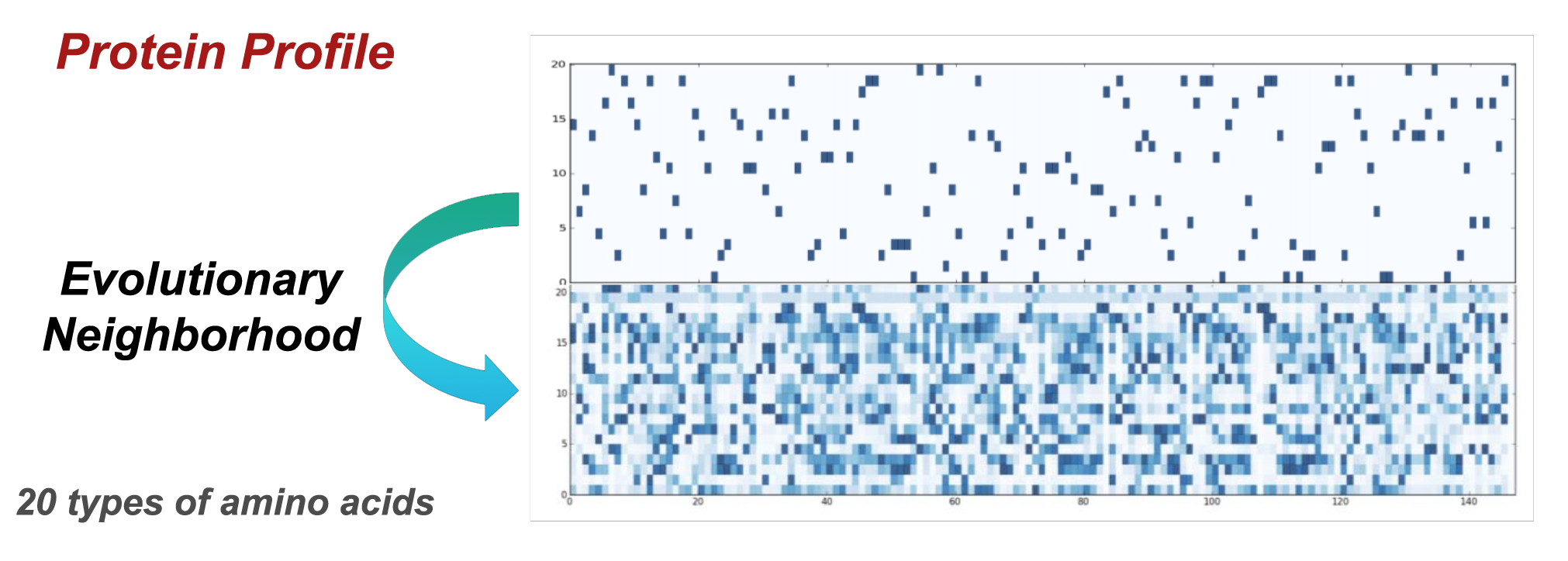 Proteine_Profile