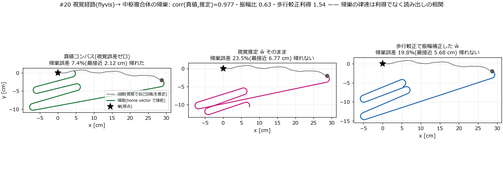 視覚から中枢複合体への帰巣(初版、較正なし)