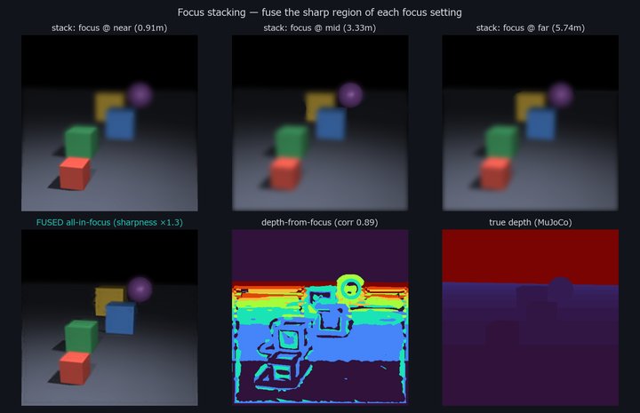 Focus stacking — one all-in-focus frame from 7 blurry ones