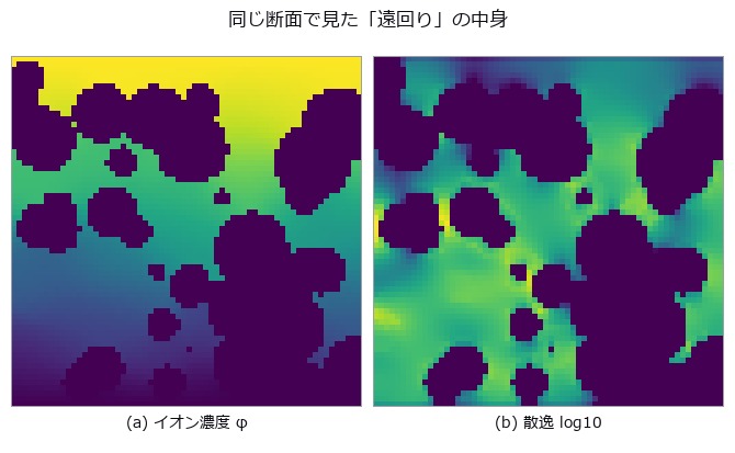 左: 上端 1 / 下端 0 の濃度場。等濃度線が固相を避けて曲がる分が遠回り。右: bond ごとの散逸(明るいほど流れが集中している = 首)。