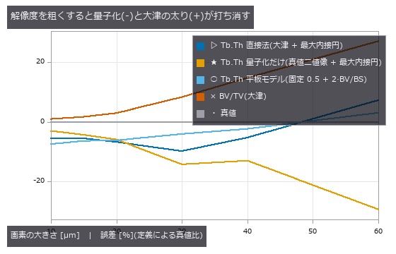 Tb.Th の平均は 2 px/骨梁でも持つが、BV/TV と分布は壊れている。