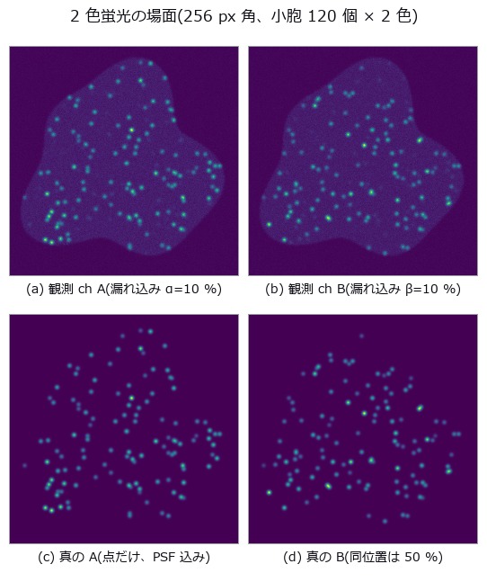 Colocalization lies under bleed-through — Pearson and Manders break in different places