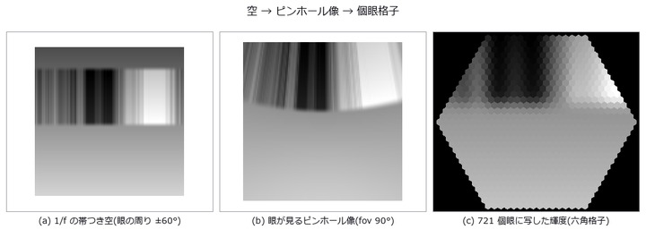 The Fly's Visual Front End as a Chain of Operators — Turning and Walking Through a Synthetic Sky, What Can and Cannot Be Read