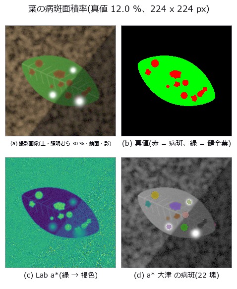 Leaf disease severity — colour axes survive the lighting; the grade is decided by the leaf mask and the edge convention