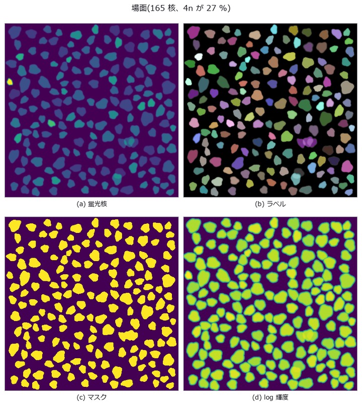 Ploidy From Integrated Nuclear Intensity — Area Cannot Separate It