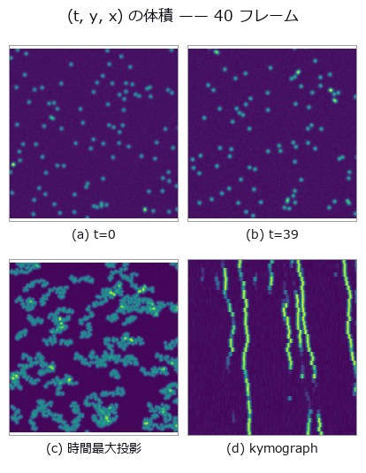 Particle Tracking as a (row, column, time) Volume — Mislinks Come in Two Directions