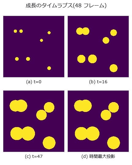 A Growth Time-Lapse as Space-Time Connected Components