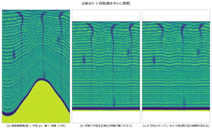 偏心成長で境界が θ とともに斜めに走るので、正規化しないとθ 窓の中で外側の年輪がにじむ。