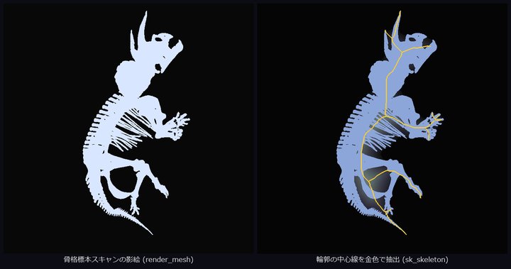 恐竜の影絵から骨格を取り出す