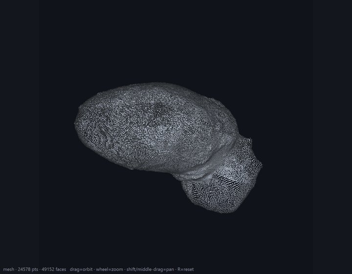 Studio's interactive 3D viewer — the 49,152-face Itokawa mesh